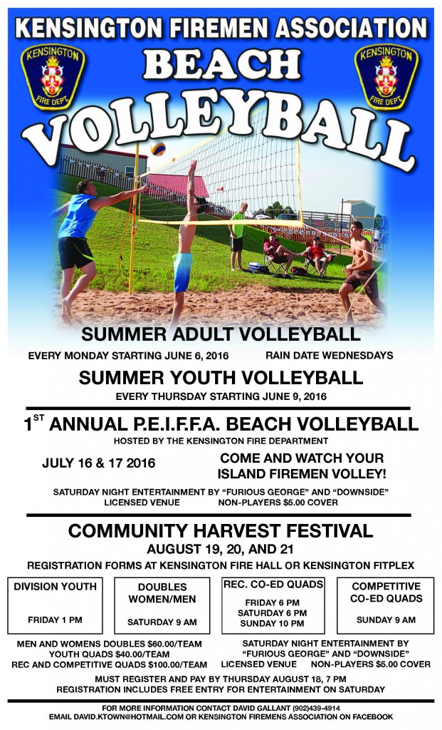 VOLLEYBALL POSTER