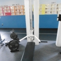 Bench Press