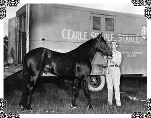 Semple with one of his horses.