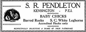 Advertisement for Pendleton's chickens.