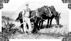 John William Murphy ploughing.