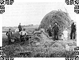 Farmers taking in the hay
