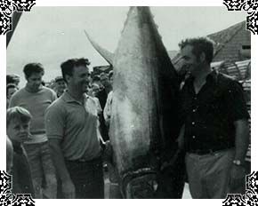 First tuna caught at Malpeque Harbour in 1971.