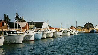 Malpeque Wharf, 1993