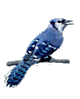 Blue Jay