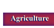 Agriculture Header