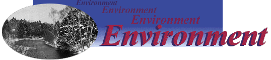 Environment Header