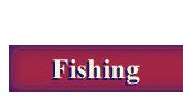 Fishing Header