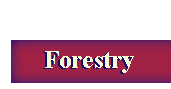 Forestry  Header