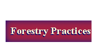 Forestry Practices Header