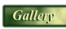 Gallery Header
