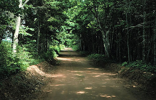 Red Clay Road